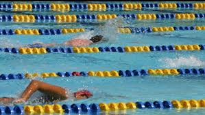 people swimming in lanes, sport swimming