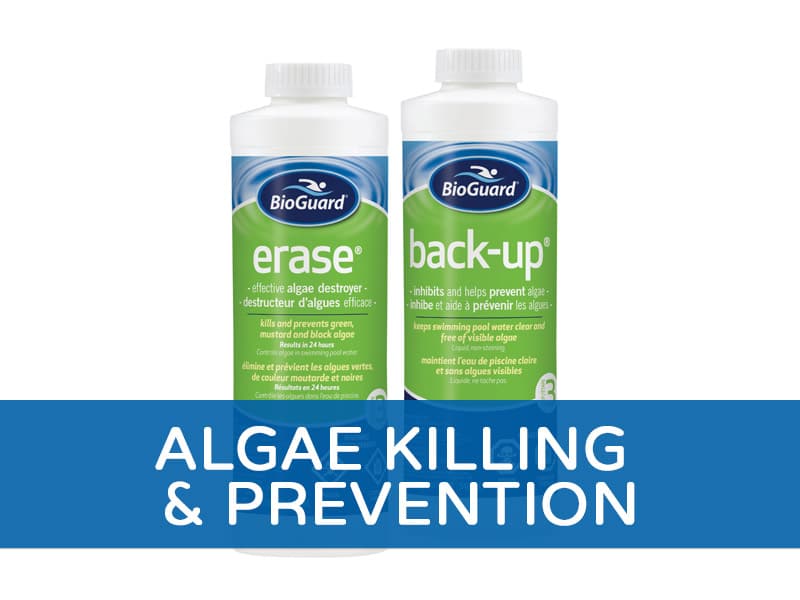 Algae Killing & Prevention
