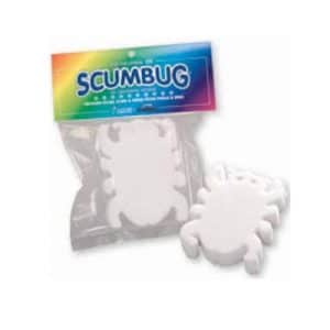 Scum Bug | St. Lawrence Pools