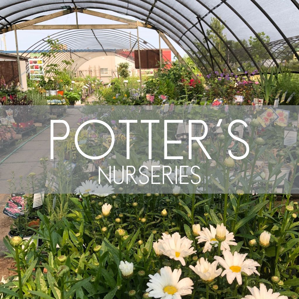 potter's nurseries, plants, landscape, garden